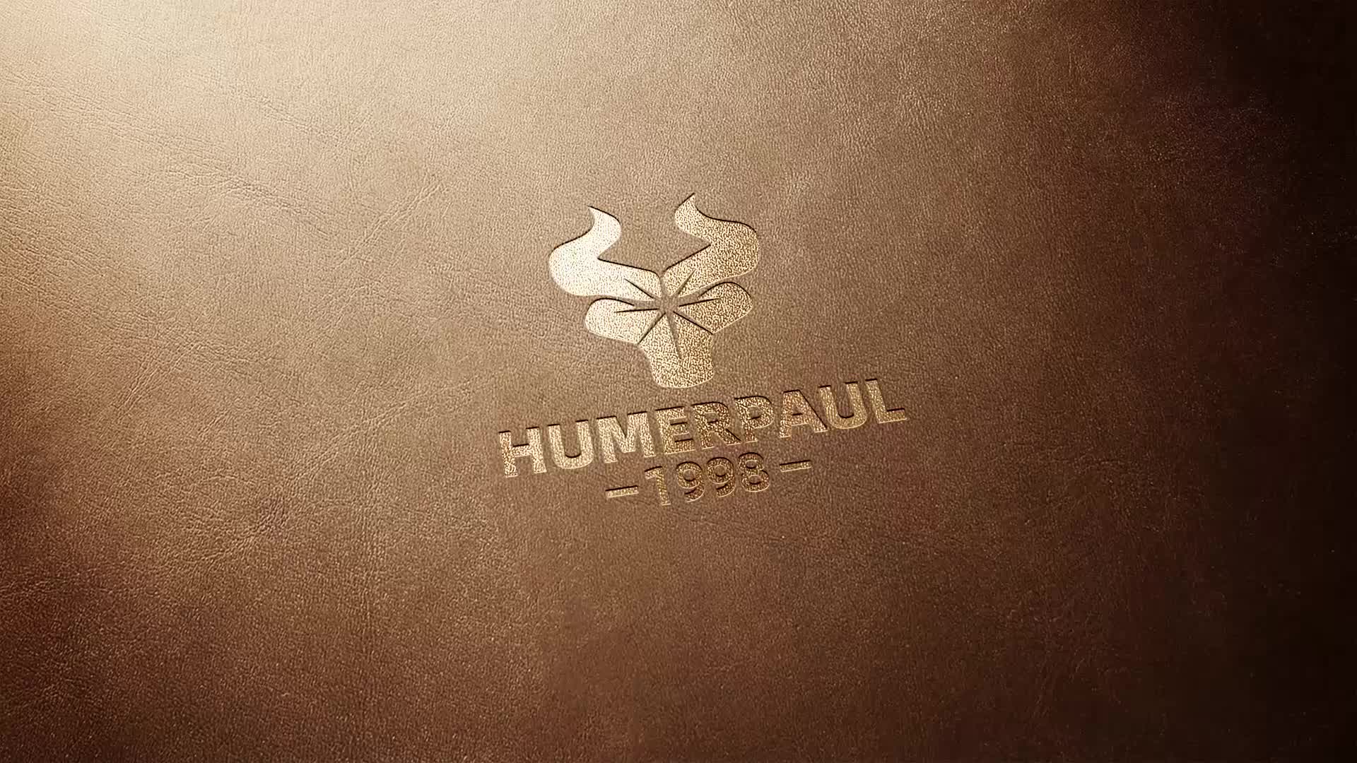 Large Capacity HUMERPAUL Women's Genuine Leather Bifold Wallet with Zipper Pocket, Snap Closure, Polyester Lined, Dry Clean, No Printing, Edge Painted, Casual Style Clutch